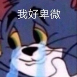 是你们不懂