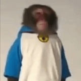 超级小猴