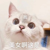 霍奕