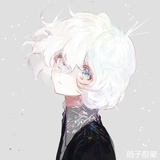 鸽子前辈