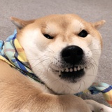辉太狼