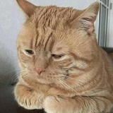 (•́₃•̀)