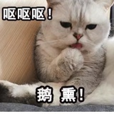 纹闻呀
