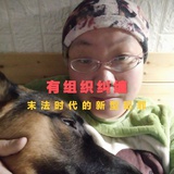 被有组织纠缠女