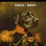 yachagoo