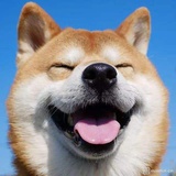 瓶邪