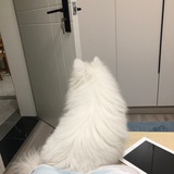 悠加力呦
