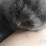 西林路的风