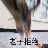 哈哈哈哈哈哈