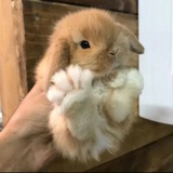黑夜在撼动