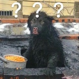 言多必失