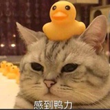 歌于途，休于树