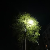 静