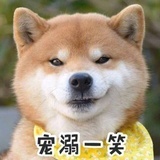 纳维斯托克斯