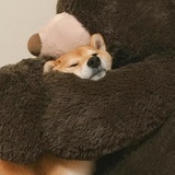 恶人