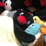 illit林允儿