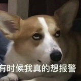No sense