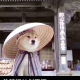 Miss酸酸奶