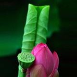 小静读童书