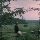 Зеркало