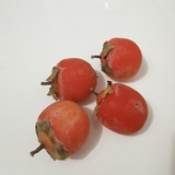 冲鸭