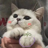 夏见山南