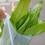苔痕上阶绿