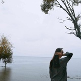 晶二有点二
