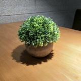 是麻花不是毛花