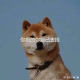 一只大鸡腿
