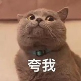 你行，你来