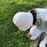 鱼与鹿