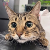 几几