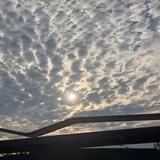 简兮
