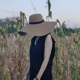云峰鹤谷