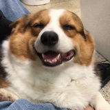 = =