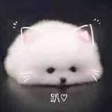 Muuuumu