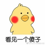 一只猫