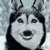 摸～～摸