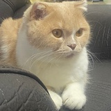 干饭魂