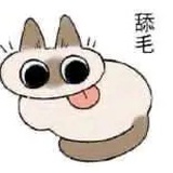 爱玩是天性