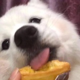 拖延就诊