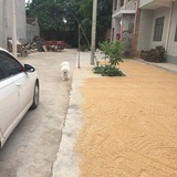 但行莫问