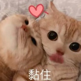张起灵（没偷鸡