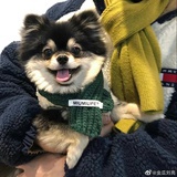 来一杯绿茶