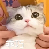天天天天嘚嘚
