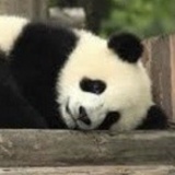家养新之助