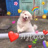 12453aaa