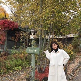 Amy句句子