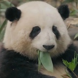 静水流深